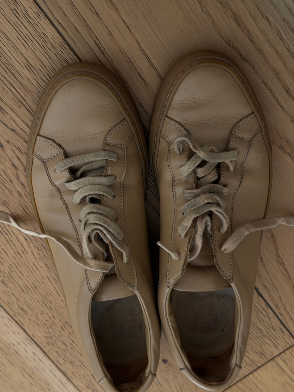 Common Projects Low-Top Leather Sneakers in Beige